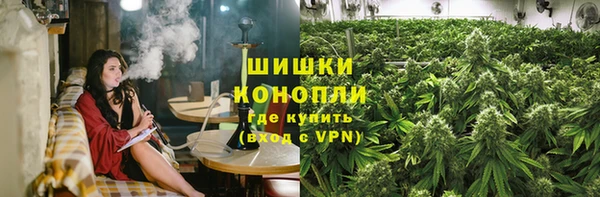 mdpv Богородск