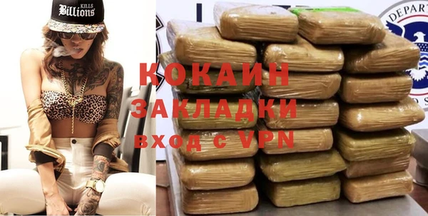 mdpv Богородск
