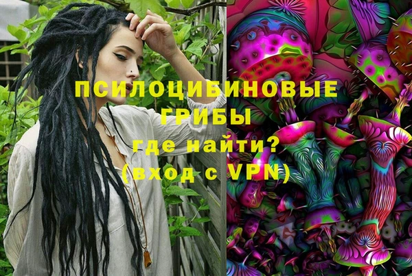 mdpv Богородск
